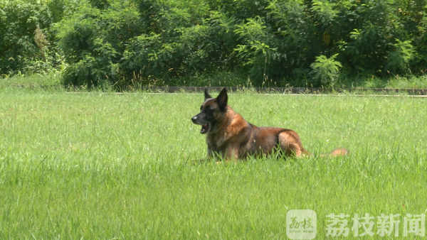 江蘇南京:感受“特警力量” 探秘現(xiàn)實(shí)中兩支反恐精英部隊(duì)(組圖) 江蘇南京:感受“特警力量” 探秘現(xiàn)實(shí)中兩支反恐精英部隊(duì)(組圖)